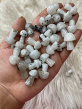 One Mini Rainbow Moonstone Mushroom