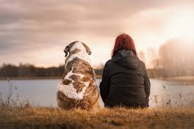 Finding Solace and Healing: Crystals for Pet Loss