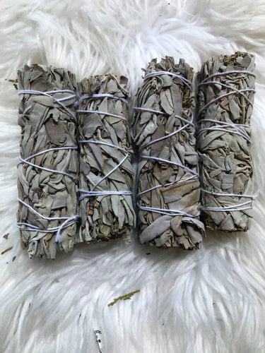 White California Sage