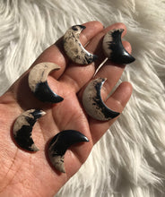 One Fossilized Palmroot Moon cabochons