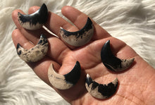One Fossilized Palmroot Moon cabochons