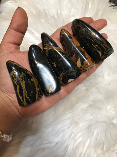 One Rare Fossilized wood Opal Freeform