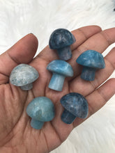 One Trolleite Mushroom -