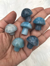 One Trolleite Mushroom -