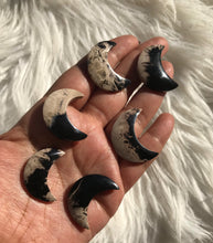 One Fossilized Palmroot Moon cabochons