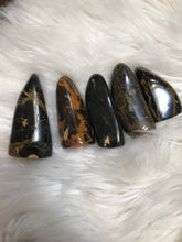 One Rare Fossilized wood Opal Freeform