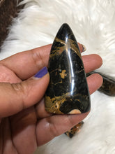 One Rare Fossilized wood Opal Freeform