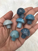 One Trolleite Mushroom -