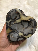 Septarian dragon stone heart Bowl 2
