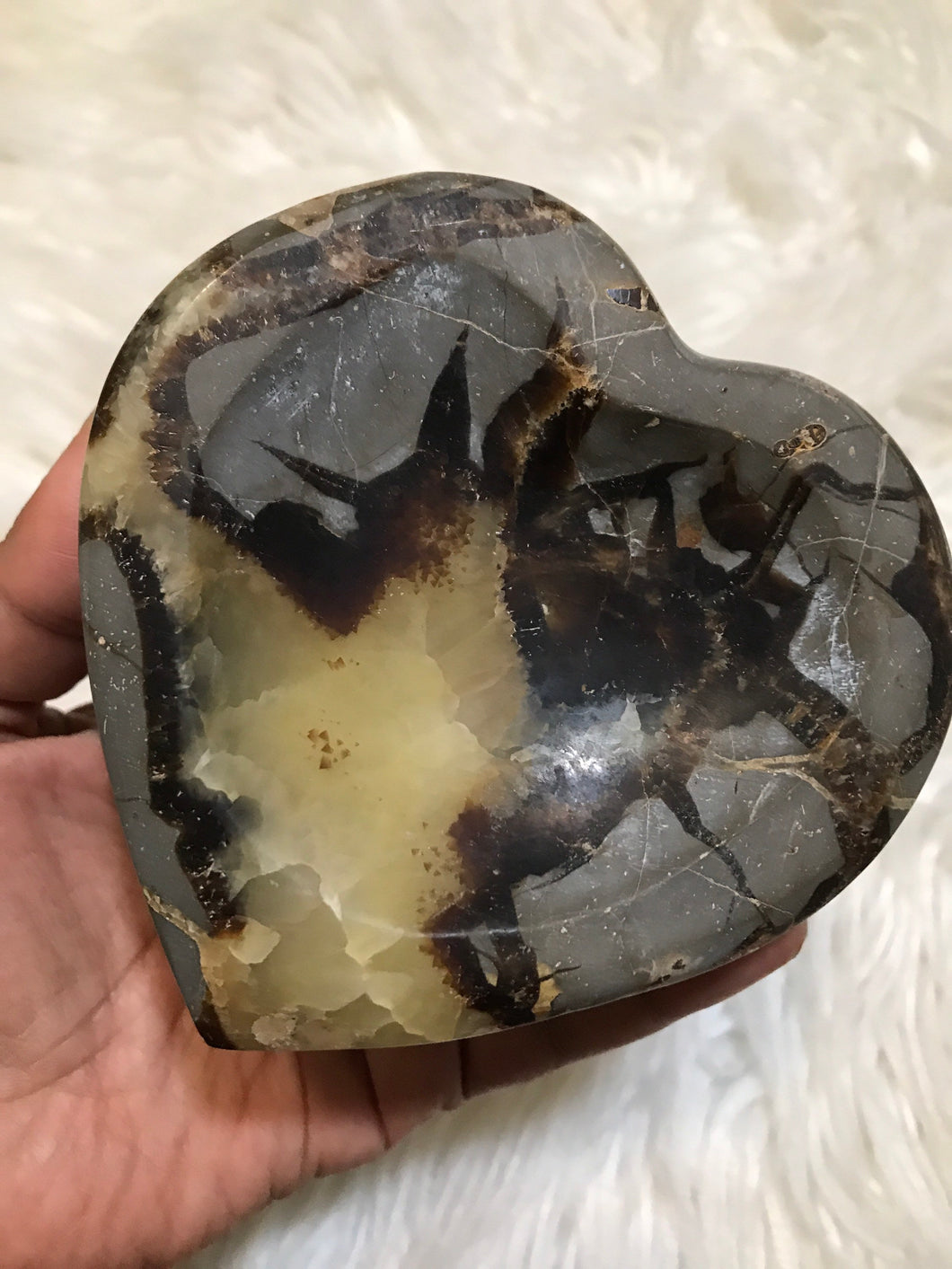 Septarian dragon stone heart Bowl 3