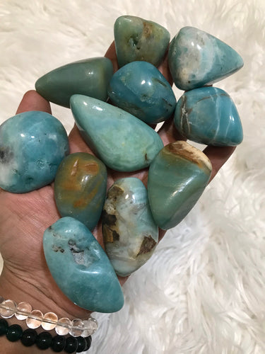 Jumbo Amazonite tumbles