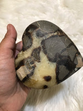 Septarian dragon stone heart Bowl 2