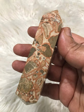 One large Leopardite Jasper DT