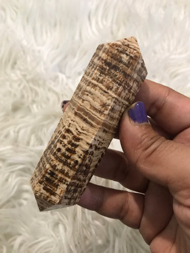 One large Brown Aragonite  DT