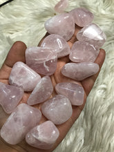 Gemmy rosequartz  Large Tumbles