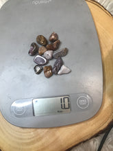 Ocean Jasper Tumbled chips -One Ounce