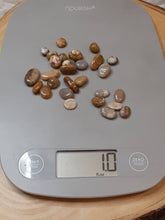 One Ounce Coral Jasper Tumbled chips