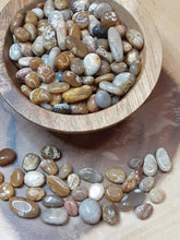 Coral Jasper Tumbled chips - One Ounce