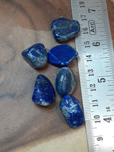 Lapis Lazuli tumbled Stone -One Ounce