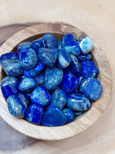 Lapis Lazuli tumbled Stone -One Ounce