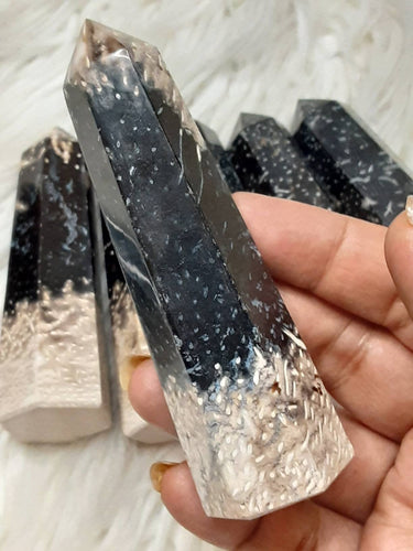 One Fossilized Palmroot Point 3.5 Inches