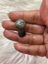 One labradorite Mushroom