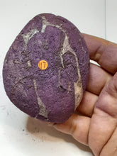 One Purpurite Palmstone From Brazil 7