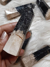 One Fossilized Palmroot Point 3 Inches
