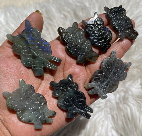 One Gorgeous Labradorite Owl Bird