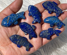 One Blue Lapis Lazuli Fish 44mm - 54mm