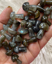 One labradorite Mushroom