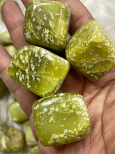Serpentine Tumbled Stone - One
