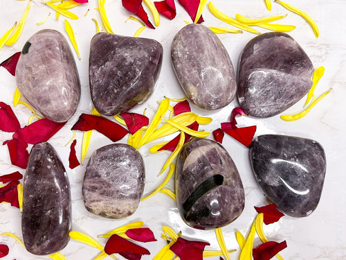 One Large Purple Anhydride palmstones - You Select