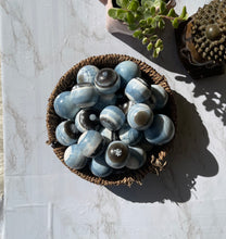 One Owyhee Blue Opal Sphere Lot 6
