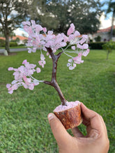 Rose Quartz Tree 150 chips