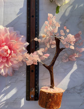 Rose Quartz Tree 150 chips