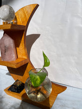 Moon Shaped Crystal Wooden Stand