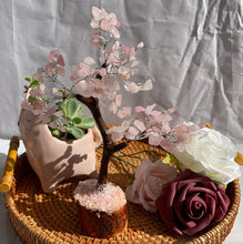 Rose Quartz Tree 150 chips