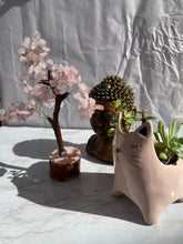 Rose Quartz Tree 150 chips