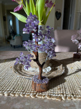 Amethyst Tree 250 chips