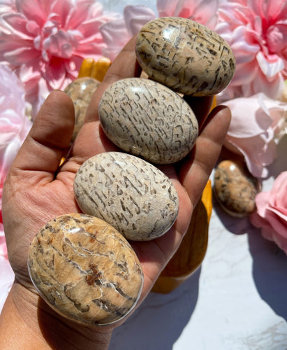 One Zebradorite Palmstone