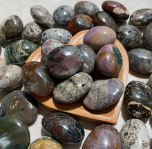 Ocean Jasper  Palmstones - One